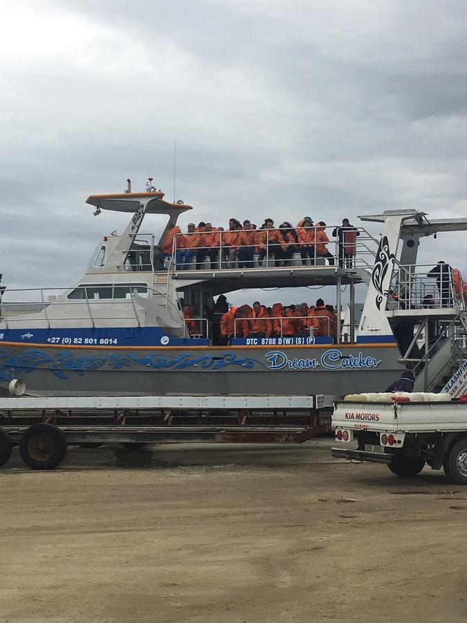 Royal Albatros Διαμέρισμα Gansbaai Εξωτερικό φωτογραφία
