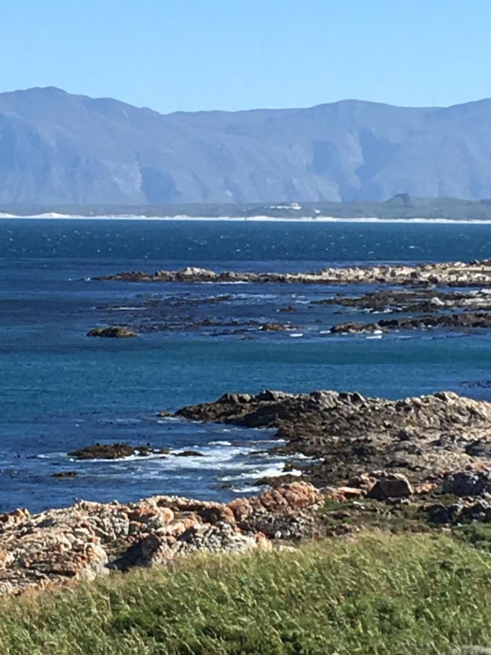 Royal Albatros Διαμέρισμα Gansbaai Εξωτερικό φωτογραφία